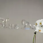 Blue Dome Lejlighedshotel