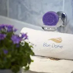 Blue Dome