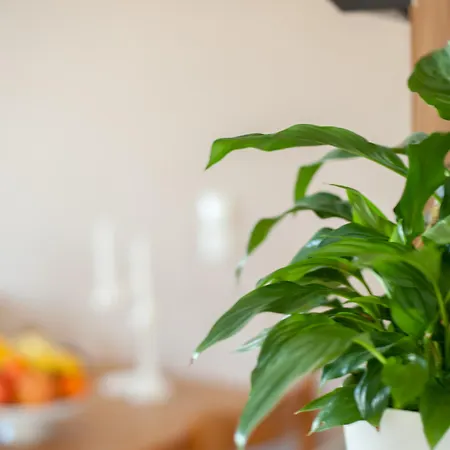 شقة فندقية Blue Dome