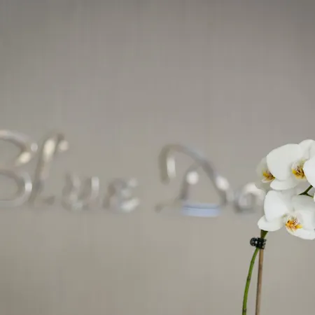 Blue Dome شقة فندقية