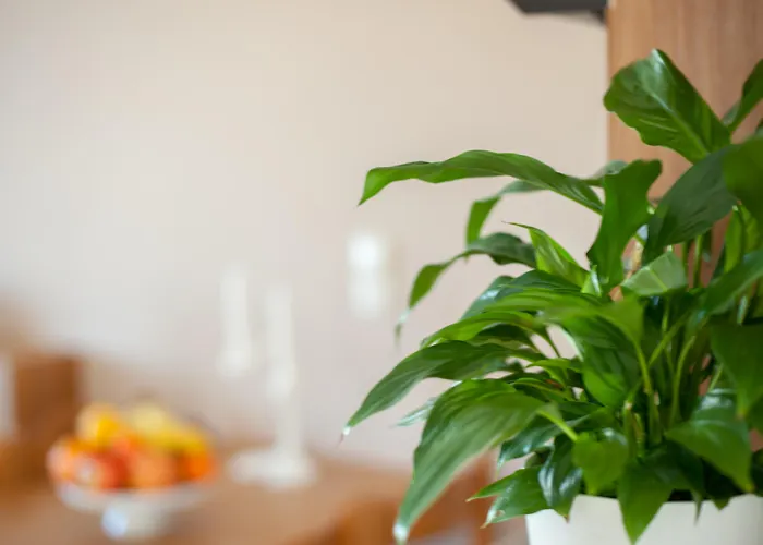 아파트호텔 Blue Dome